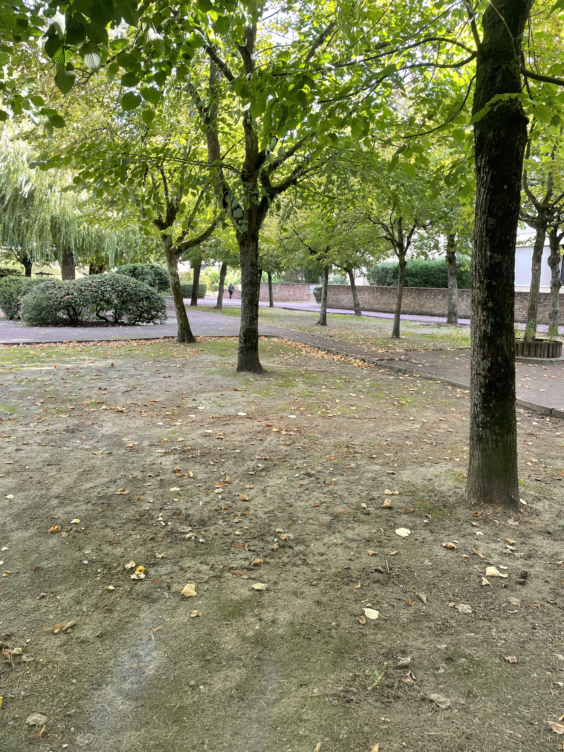 Photo d'un parc avec un sol très sec et clairsemé, témoignant d'un stress hydrique important et d'un manque d'infiltration des eaux.