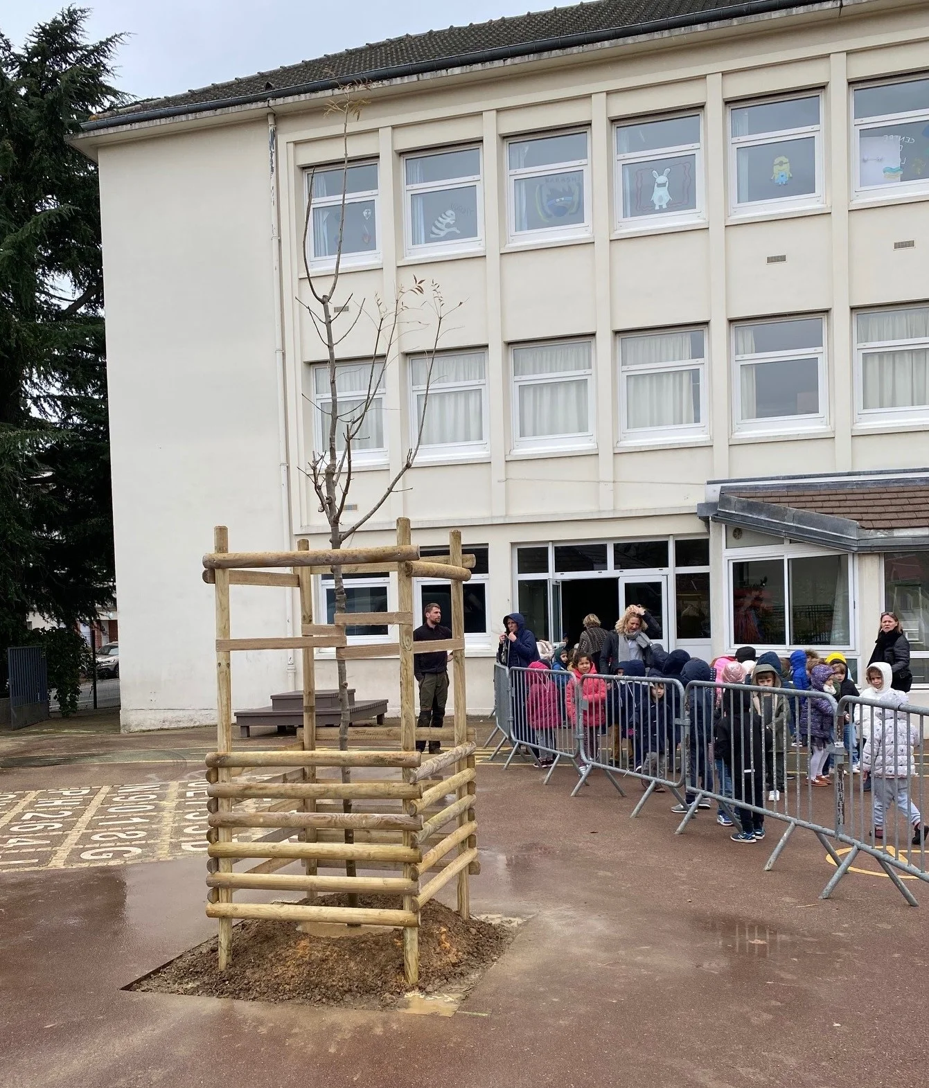 Ajout d'éléments bois de protection du jeune plant.