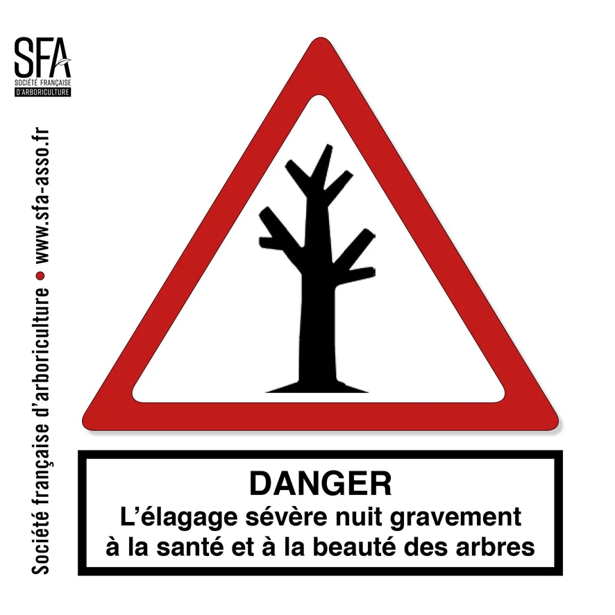 Visuel de prévention de la Société Française d'Arboriculture alertant sur les effets négatifs de l'élagage sévère