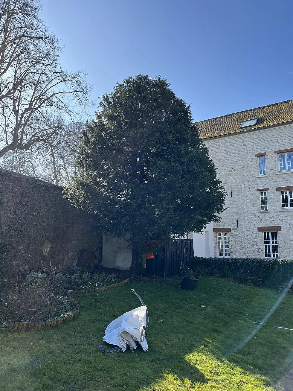 Arbre mature en limite de propriété, potentiellement concerné par la législation sur les plantations en limite séparative. Une surveillance régulière et un entretien raisonné permettent de préserver à la fois la sécurité, la vue et les relations de voisinage. Intervention sur demande d'un syndic ou d'un copropriétaire.