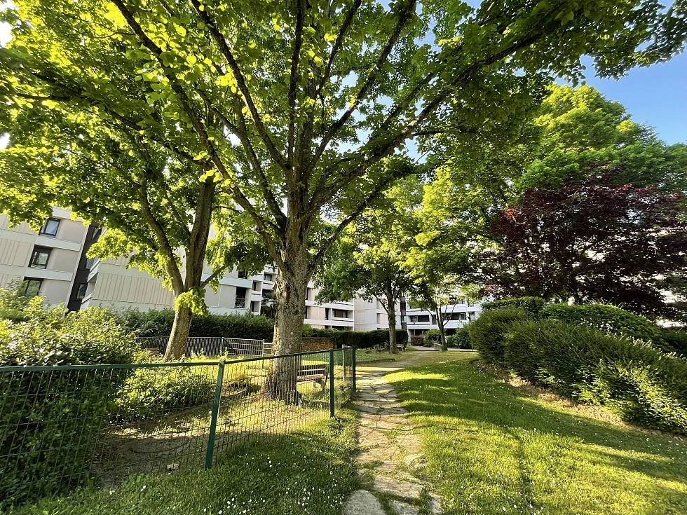 Arbres d'alignement le long d'un cheminement piéton en copropriété nécessitant un entretien arboricole régulier