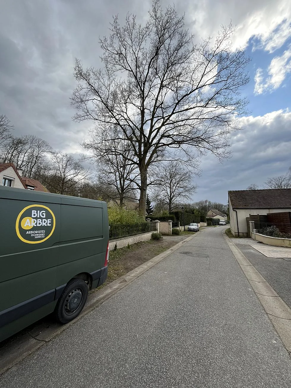 Ce grand sujet, proche d'une voirie et d'un terrain privé, illustre la complexité des arbres en limite séparative. Selon le Code civil, la hauteur et la distance doivent être respectées pour éviter les litiges. L'avis d'un arboriste peut prévenir les conflits et garantir une gestion saine de l'arbre.