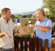 Litige entre voisins dans une limite mitoyenne